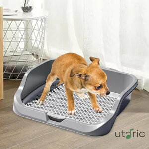  gC  gCg[ Ch ی|ȒP ybggC g[jOgC bVg bVg[ gCg[ юUh~ǃv[gt gCg[ pgC