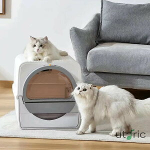 GrnArt LpgC LpgC Lpo Wt d  LpgC{bNX ^ |₷ o ɂ Lpi ނ{bNX 