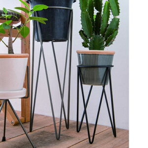 観葉植物 鉢 5号 フラワースタンドの人気商品 通販 価格比較 価格 Com