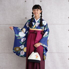 楽天市場 大正 服の通販