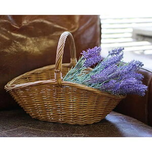 obO@oXPbg [ obO ҂ JSobO obO@ F uE  i` JS  obO I[o^ ȉ~ sNjbN  k  G [ CeA f