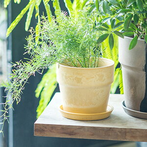 y10OFFzA[ovc|bg }[uM a13.5cm Aؔ K[fjO O[ ϗtA x_ CeA  v^[ vX`bN EbhpE_[ Xg[pE_[ ꌊ