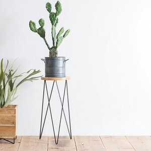 T[NX^h Ebh ی^ ~` Eh ؐ Ԓu TChe[u K[fjO O[ ϗtA }S[Ebh ACA  k i` ~bhZ`[ x_ 