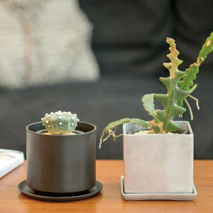 スクエアポット 10.5cm 植木鉢 角型 四角 ガーデニング グリーン 観葉植物 ベランダ インテリア 花 プランター アルミニウム シルバー ブラック 底穴あり