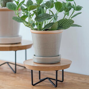 |bhX^h ϗtAX^h X^h t[X^h K[fjO O[ x_ CeA  v^[ ACA T[NR|[g a15cm  Aؔ v^[ 