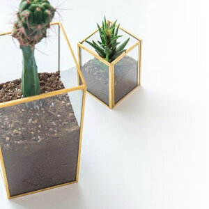 ԕr t[t[x[X\bh KX ֑} CeA NA  _rO ͗lւ fBXvC fR[V i` k  т Ԋ Ԃт V