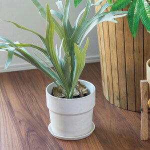 y10OFFztFCNO[ lHϗtA RE CeA  ϗtA fR[V ͗lւ _rO i` ΂̂炵  k fBXvC Vbv 