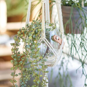 tFCNO[ lHϗtA C[vc CeA  ϗtA fR[V ͗lւ _rO i` ΂̂炵  k fBXvC Vbv JXj