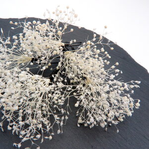 y Us 5{Zbg@݂@hCt[@ItzCgzwAANZ  t[ RT[W  䂩 ԉΑ čՂ U  l Ǝ  wAAW p[