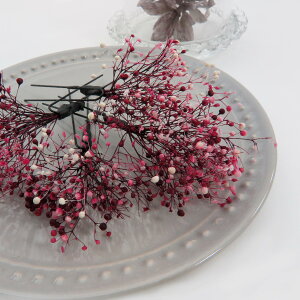 y Us 4{Zbg ݂ hCt[ CzwAANZ JX~\E  hCt[ t[ RT[W  䂩 ԉΑ U  l Ǝ  wA