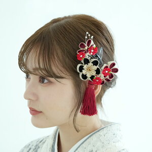 y X[s2_Zbg ~^bZz wAANZ [ ܂ݍ׍H pb`ǂ 吳} g ݃J[ jAXJ[ ܎O U  l Ǝ LOBe ʐ^ wA