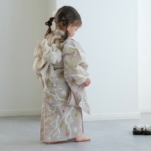 yЂ悱X kids ςD q3_Zbg ̎q Fɔщ鐝z lCuh̏ag݃J[ ǂ߃Zbg ( 䂩EсE ) 3 4 5 6 7 8 9