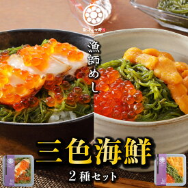 海鮮丼 父の日 ギフト プレゼント 【三色 海鮮 2種 セット】 三陸 アワビ イクラ ウニ メカブ 誕生日 贈答用 産地直送 送料無料 冷凍 ご飯のお供 お取り寄せ グルメ 高級 あわび いくら うに めかぶ ハレの日に三陸の海鮮