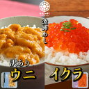 海鮮丼 ギフト プレゼント 【ウニいくらセット】訳ありウニ 70g いくら醤油漬 80g ミョウバン不使用 三陸 ウニ うに 雲丹 イクラ 送料無料 冷凍 贈答用 うに丼 グルメ 海鮮 うにいくら丼 訳あり ワケアリ 味は訳なし ハレの日に三陸の海鮮