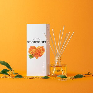 [hfBt[U[ ؍ 120ml [F XeBbNfBt[U[ [tOX  F L e rO A}  v[g Mtg]