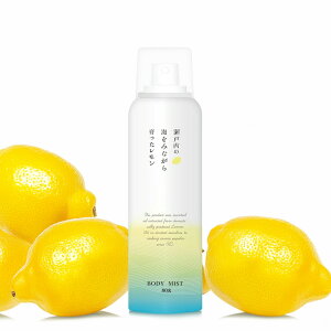 {fB~Xg kn ˓ 80g [{fB[~Xg {fBXv[ {fB[Xv[   邨 ێ G`Pbg ₩ u₩]