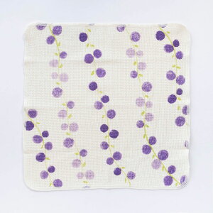 ӂELb`NX ʎ Knit kobo.h Cm_D jbg [Lb` ӂ tL z H OX M] w[։x