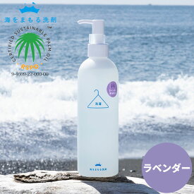 海をまもる洗剤 洗濯用 ポンプボトル 300ml ラベンダー お洗濯60回分！ [お肌に優しい 洗濯用剤 液体洗剤 おしゃれ着洗い 中性洗剤 柔軟剤不要 エコ洗剤 部屋干し 赤ちゃん用 ベビー用 デリケート用 環境に優しい SDGs アレルギー サステナブル 節水 節電 時短 日本製]