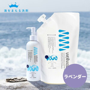 C܂  |v{g x_[ 300ml + lւ 600ml Zbg C [ɗD t̐ ꒅ  _ܕsv GR  Ԃp xr