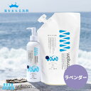 wellwash 海をまもる洗剤 洗濯洗剤 ポンプボトル ラベンダー 300ml + 詰替え 600ml セット 海を守る洗剤 [お肌に優しい 液体洗剤 おしゃれ着洗い 中性洗剤 柔軟剤不要 エコ洗剤 部屋干し 赤ちゃん用 ベビー用 環境に優しい 日本製]