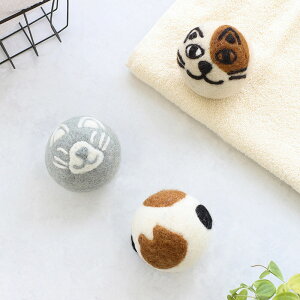 E[ hC[{[ CATtY h[ {[  @  Z E[{[ {[ hC{[ {[ r 6cm i3Zbgj