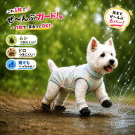 犬服 足までカバー レインウェア オールインワン 防虫 防泥 防汚 撥水 四脚ウェア ドッグウェア 犬の服 …