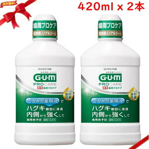 GUM (K) vPAf^X 420ml x 2{Zbg