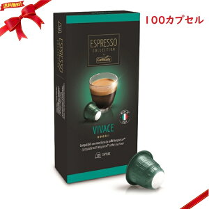 JtB^[ lXvb\݊JvZ VIVACE 100JvZ