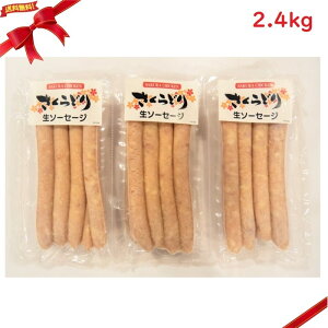 (Ⓚ) Yǂ萶\[Z[W 2.4kg(1.2kgx2pbN)