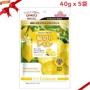 }GX ֐؂背 XibN 40g x 5