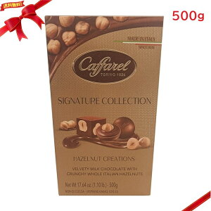 Jt@ VOl`[ RNV w[[ibc 500g `R[g Mtg  v[g lC