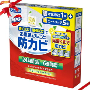 JrL[ CۂƖhJr {̗e1 + J[gbW5 Jrh~ Ԍ p ֗Zbg lC