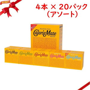カロリーメイト ブロック 4本入 アソートパック 20箱入