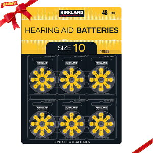 �J�[�N�����h�V�O�l�`���[ �⒮��p��C�d�r 10A/PR536 48��