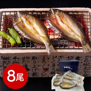�� �n�Ɩ���10�N �L���� ����銱��8��