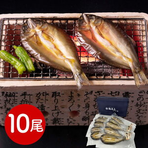 �� �n�Ɩ���10�N �L���� ����銱��10��
