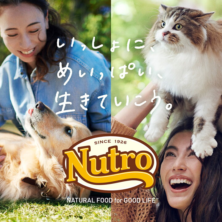楽天市場】公認店 ニュートロ ナチュラル チョイス ラム＆玄米 中型犬 