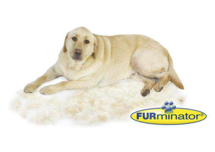 楽天市場 正規品 Furminator ファーミネーター M 中型犬 短毛種用 お手入れ 抜け毛除去 ブラシ ライトハウス 犬用品 ペット グッズ 用品 ゆーとぴあ 猫用品専門店
