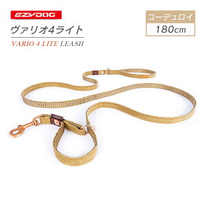 EZYDOG C[W[hbO @I4CgR[fC