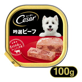 シーザー Cesar 吟撰ビーフ ビーフ 100g ■ ドッグフード ウェットフード