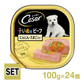 Cesar シーザートレイ 2ヶ月からの子犬用 ビーフ にんじん・たまご入り 1ケース （100g×24個）