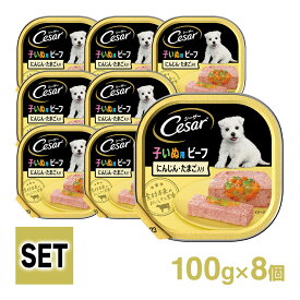 シーザー Cesar 子犬 ビーフ にんじん・たまご入り 100g 8個入り ■ ドッグフード ウェットフード 総合栄養食 パピー 子いぬ 仔犬 小犬 セット