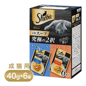 シーバ アミューズ お魚スープ 究極の2択 40g×6袋パック