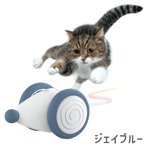 EBLbhE}EX WFCu[EAvRbg