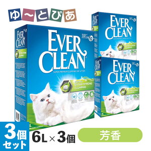Go[N[  F ח 6L×3Zbg gC  zn xgiCg (KAi)yGo[N[(EVER CLEAN)z[L]
