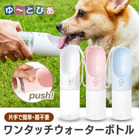 ダッドウェイ ワンタッチ・ウォーターボトル 300ml