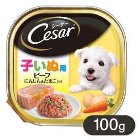 楽天市場 シーザー 子犬用 ドッグフードの通販