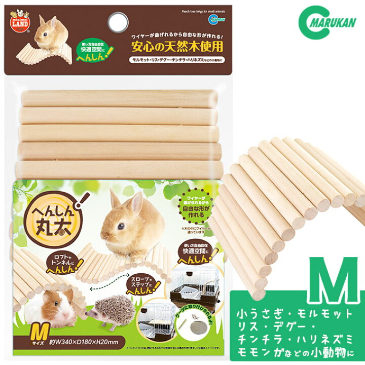 83%OFF!】 マルカン かじってサトウキビ 4本 MR-807 riosmauricio.com 83%OFF!】 マルカン かじってサトウキビ 4本 MR-807 riosmauricio.com