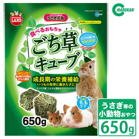 楽天市場 ハムスター 草の通販