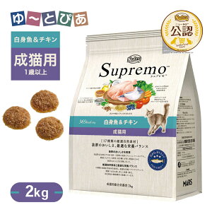 FX j[g Vv Lp g`L 2kg ͂  yVv(Supremo)z[Lbgt[h]